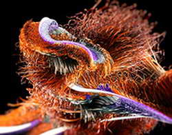 Бозори асъор, Таърихи ҳаррӯза барои 6 феврали соли 2026