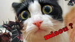 Фунт ждёт фейерверка