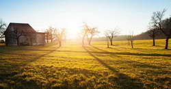 Кукуян получил первое назначение после пенальти в матче «Зенит» – «Динамо» Махачкала в Кубке: на игру «Ростова» и «Оренбурга». Карасев – ВАР матча «Краснодара», Иванов – игры «Зенита»