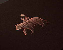 УЗИ щитовидной железы ребенку