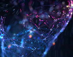 Можно ли оставлять на могиле пасхальную еду?