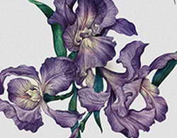 Фондовый рынок, Daily history за 19 марта 2026 г.