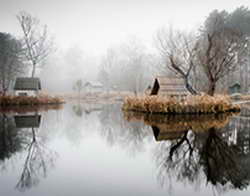 Лупита Нионго. Досье