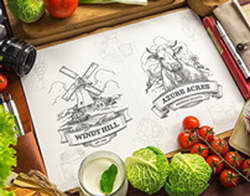 Необходимость изменений в законодательстве для развития энергетической отрасли в России