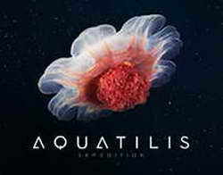 Фондовый рынок, Daily history за 28 августа 2025 г.