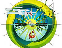 Сколько мандаринов можно съедать ребенку в день?